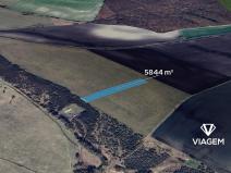 Prodej podílu lesa, Převýšov, 974 m2