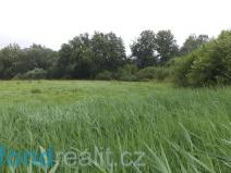 Prodej pozemku, Golčův Jeníkov, 996 m2