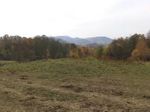 Dražba louky, Nový Jičín, 6670 m2