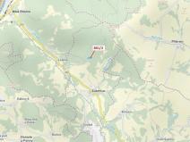 Dražba lesa, Zubrnice, 8765 m2