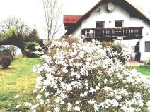 Dražba rodinného domu, Bělá nad Radbuzou, 270 m2