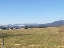 Prodej louky, Police nad Metují, 9001 m2