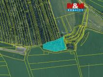 Prodej lesa, Koloveč, 10594 m2