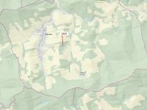 Dražba lesa, Zděchov, 867 m2