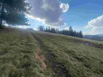 Prodej pole, Bartošovice v Orlických horách, 390 m2