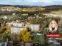 Prodej bytu 1+1, Hrob, Rybniční, 27 m2