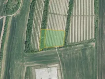 Prodej pole, Žarošice, 8639 m2