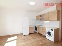 Pronájem bytu 1+1, Chomutov, Březenecká, 33 m2