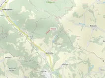 Dražba lesa, Zubrnice, 815 m2