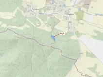 Dražba lesa, Pačejov, 3251 m2