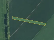 Prodej pole, Prusinovice, 2313 m2