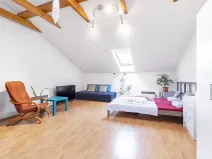 Pronájem bytu 1+1, Brno, Spolková, 41 m2