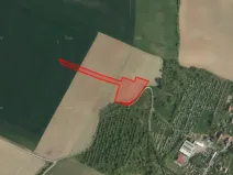 Prodej pole, Luže, 19843 m2