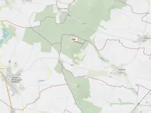 Dražba lesa, Vícenice, 6645 m2