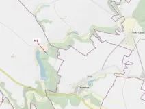 Dražba lesa, Mladoňovice, 961 m2