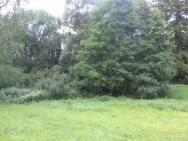 Dražba louky, Pěčín, 5224 m2