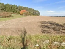 Dražba pole, Hrejkovice, 1550 m2