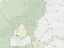 Dražba lesa, Nová Hradečná, 6275 m2