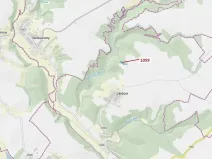 Dražba lesa, Náměšť nad Oslavou, 3646 m2