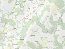 Dražba lesa, Vilice, 2384 m2