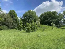 Prodej pozemku, Slavonice - Stálkov, 1831 m2