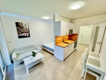 Pronájem bytu 1+kk, Brno, Trnitá, 27 m2