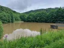 Pronájem rybníku, Slopné, 4871 m2