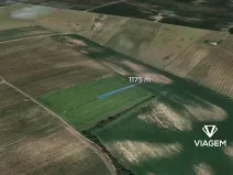 Prodej pole, Prušánky, 1175 m2