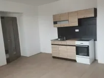Pronájem bytu 1+kk, Chotěšov, Ořechová, 29 m2