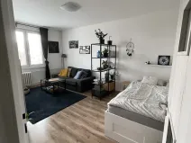 Pronájem bytu 1+1, Ostrava, Opavská, 35 m2