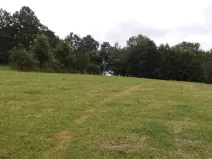 Dražba louky, Vlčice, 1566 m2