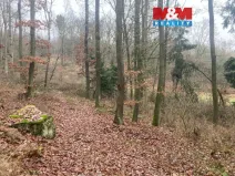 Prodej lesa, Krašlovice, 9178 m2