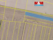 Prodej pole, Kosořice, 9557 m2