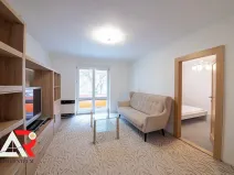 Prodej bytu 2+1, Brno, Dvorského, 54 m2