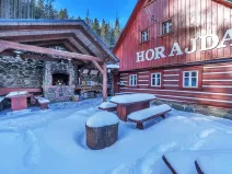 Prodej chalupy, Vítkovice, 500 m2