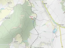 Dražba lesa, Nová Hradečná, 6750 m2