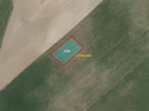 Prodej pole, Poběžovice u Holic, 2612 m2