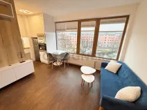 Pronájem bytu 1+kk, Plzeň, Pallova, 29 m2