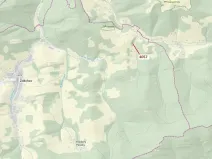 Dražba lesa, Zděchov, 435 m2