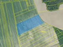 Prodej pole, Střížovice, 12708 m2