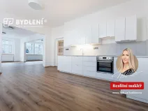 Pronájem bytu 3+kk, Teplice, Školní, 157 m2