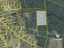 Prodej podílu lesa, Němčice, 1026 m2