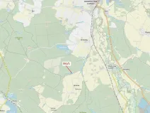 Dražba lesa, Suchdol nad Lužnicí, 9131 m2