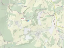 Dražba lesa, Nezdice na Šumavě, 10638 m2