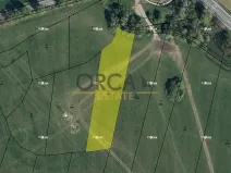 Prodej louky, Třebechovice pod Orebem, 4201 m2