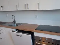 Pronájem bytu 1+1, Brno, Srbská, 35 m2