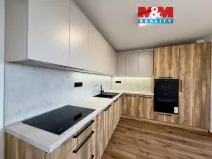 Pronájem bytu 3+kk, Hať, U Střediska, 85 m2