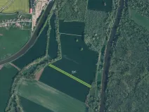 Prodej pole, Hořín, 10287 m2