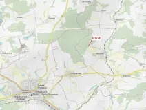 Dražba lesa, Milavče, 2102 m2