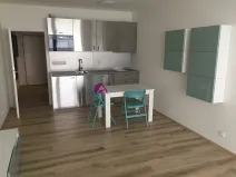 Pronájem bytu 1+kk, Olomouc, Rokycanova, 35 m2